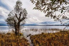 Landschaft
