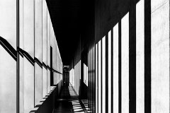 Linien-Strukturen 55